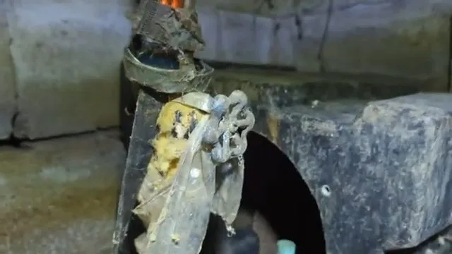 Cut open corroded copper water pipe, photographed during repiping work in Chino Valley, AZ.