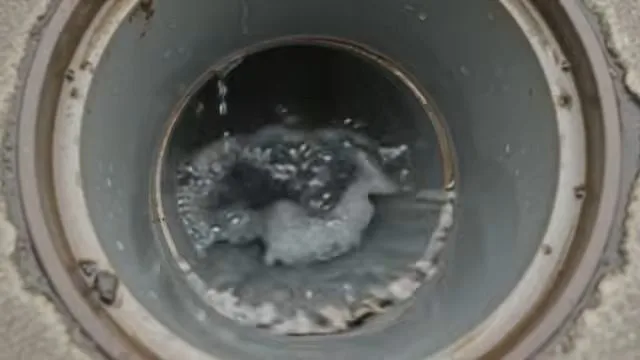 Flushing sewer cleanout with hydro jet stream, seen during sewer line service in Chino Valley, AZ.