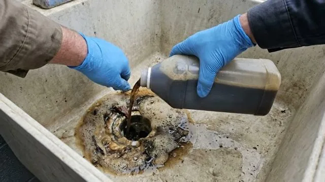 Foaming baking soda drain cleaning reaction, seen during drain cleaning service in Chino Valley, AZ.