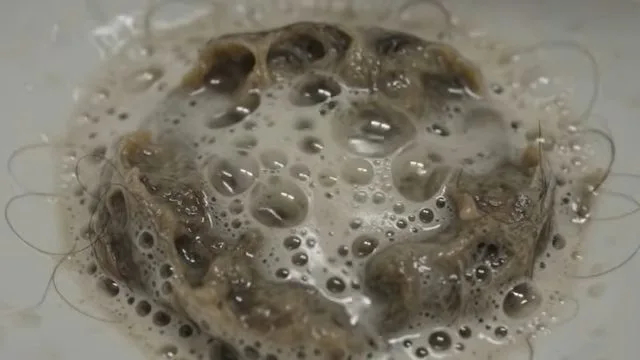 Hair clog caught in sink strainer, seen during drain cleaning service in Chino Valley, AZ.