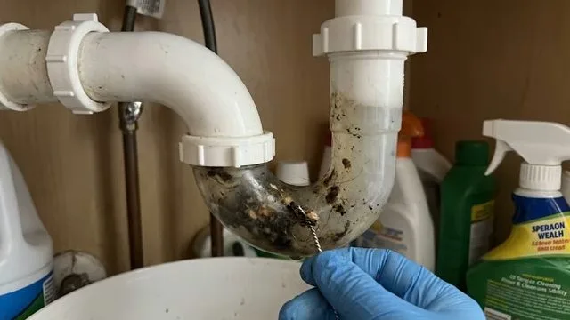 Removed clogged sink p trap, captured on a drain cleaning job near Chino Valley, AZ.